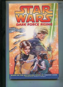 STAR WARS: DARK FORCE RISING (7.0/7.5) 1ST PRINT, TPB!! 1998