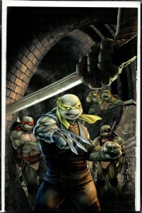 TMNT: Jennika II #1 Unknown Comics Cover (2020)
