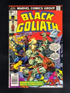 Black Goliath #5 (1976)