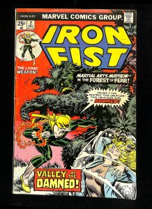 Iron Fist #2