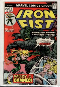 Iron Fist #2 (1975) Iron Fist