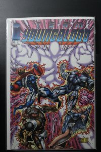 Team Youngblood #13 (1994)