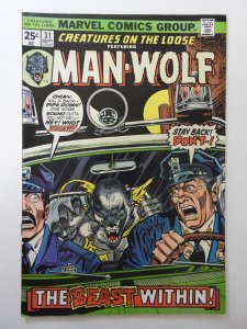 Creatures on the Loose #31 (1974) FN/VF Condition! MVS intact!