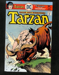 Tarzan (1972) #248