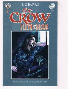 Crow Flesh and Blood (1996) #2 Kitchen Sink Comic Book Top Dollar HH4 AD38