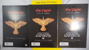 J. O'Barr's The Crow Flesh and Blood #1 #2 #3 Complete Set 1996 Kitchen Sink