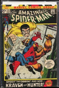The Amazing Spider-Man #111 (1972) Spider-Man