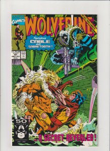 Wolverine #41 NM- 9.2 Marvel Comics Cable, vs. Sabretooth 1991 Marc Silvestri 