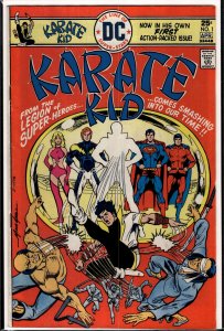 Karate Kid #1 (1976) Karate Kid