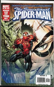 The Sensational Spider-Man #24 (2006) Spider-Man
