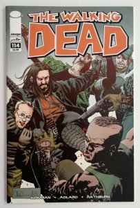 The Walking Dead #114