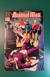 Animal Man #16 (1989) VF