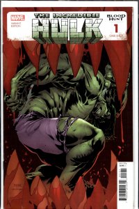 Hulk: Blood Hunt Asrar Cover (2024) Hulk