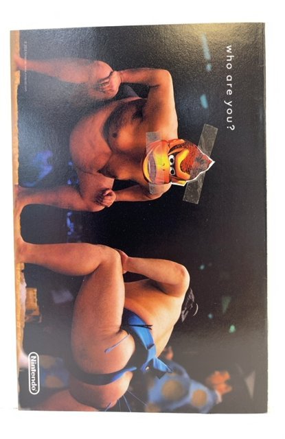 The Punisher #33 (2003)