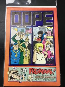 The Fabulous Furry Freak Brothers #1