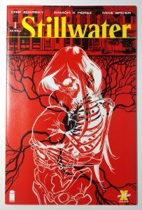 Stillwater #1 (9.4, 2020)