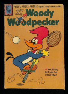 Woody Woodpecker #67