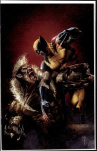 Wolverine #48 Mastrazzo Virgin Cover (2024) Wolverine