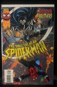 The Spectacular Spider-Man #234 (1996)