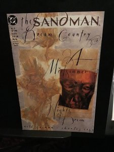 The Sandman #19 (1990) Midsummer nights dream. High-grade NM-