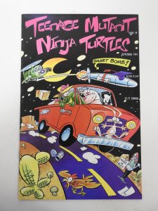 Teenage Mutant Ninja Turtles #39 (1991) VF/NM Condition!