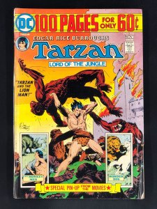 Edgar Rice Burroughs' Tarzan #233 (1974)