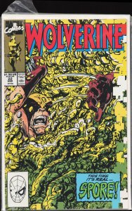 Wolverine #22 (1990) Wolverine
