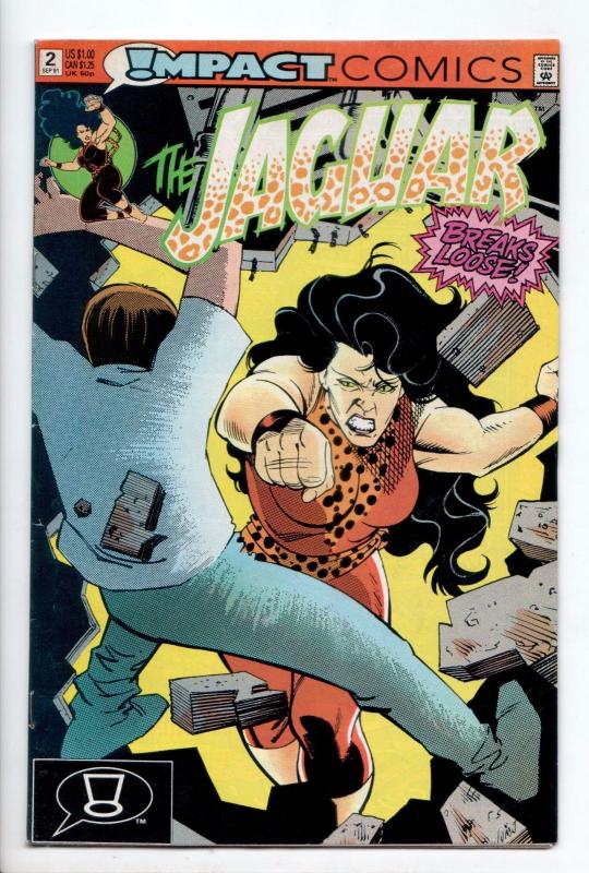 Jaguar #2 - Hell Week (DC/Impact, 1991) - FN