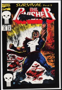The Punisher #79 (1993) Punisher