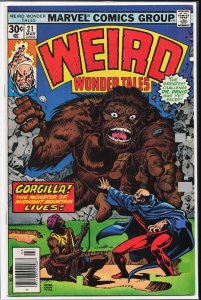 Weird Wonder Tales #21 (1977) Doctor Druid