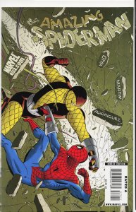 The Amazing Spider-Man #579 (2009)