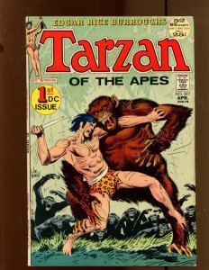 Tarzan #207 - Joe Kubert Cover Art! (6.0/6.5) 1972