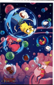 Adventure Time #27 Cover D - Chrystin Garland (2014) Adventure Time