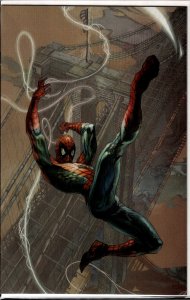 The Amazing Spider-Man #26 Bianchi Virgin Cover (2023)