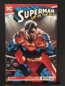 Superman: Up In the Sky #2 (2019)