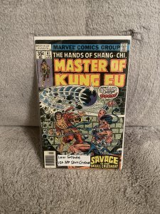 Master of Kung Fu 61