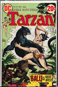 Edgar Rice Burroughs' Tarzan #213 (1972)
