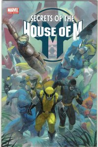 Secrets of the House of M #1 One-Shot