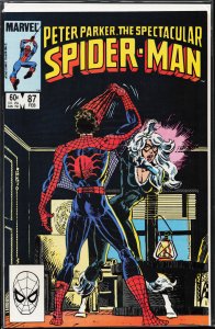 The Spectacular Spider-Man #87 (1984) Spider-Man