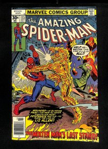 Amazing Spider-Man #173
