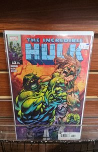Incredible Hulk  #13 (2024)
