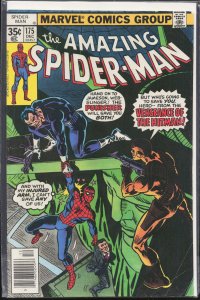 The Amazing Spider-Man #175 (1977) Spider-Man
