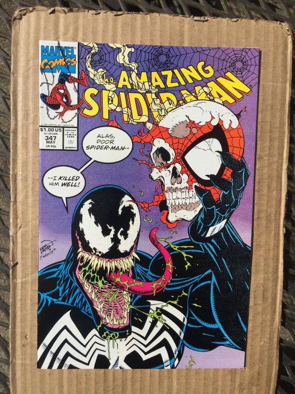 The Amazing Spider-Man #347 (1991)