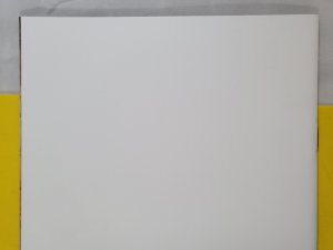 Catwoman #1 Blank Sketch Variant 2018 DC Comics