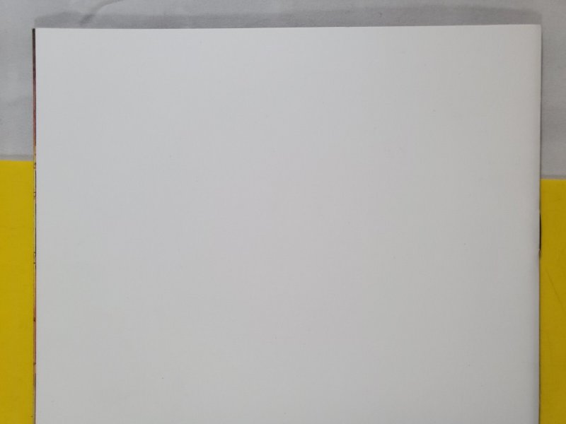 Catwoman #1 Blank Sketch Variant 2018 DC Comics