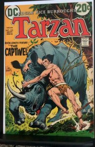 Tarzan #212 (1972)