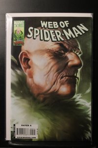 Web of Spider-Man #5 (2010)