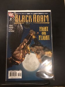 Black Adam: The Dark Age #3 (DC Comics, December 2007)