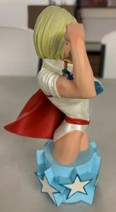 Women of the DC Universe Power Girl Bust Series 3 Limited Edition 