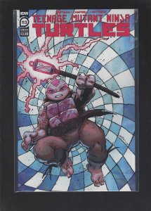 Teenage Mutant Ninja Turtles #113